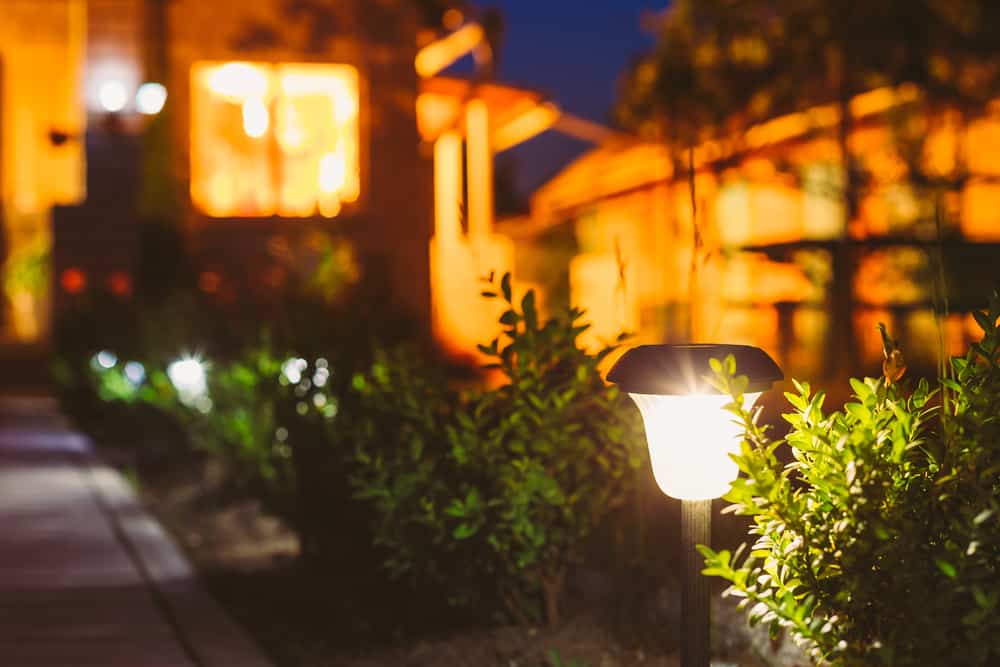 Solar powered lights accent a garden path.