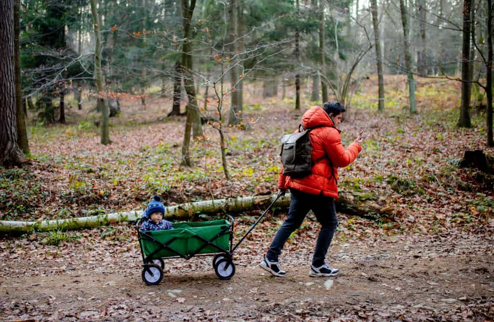 A parent pulls their child in a wagon through the forrest.